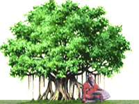 Indianscience.in